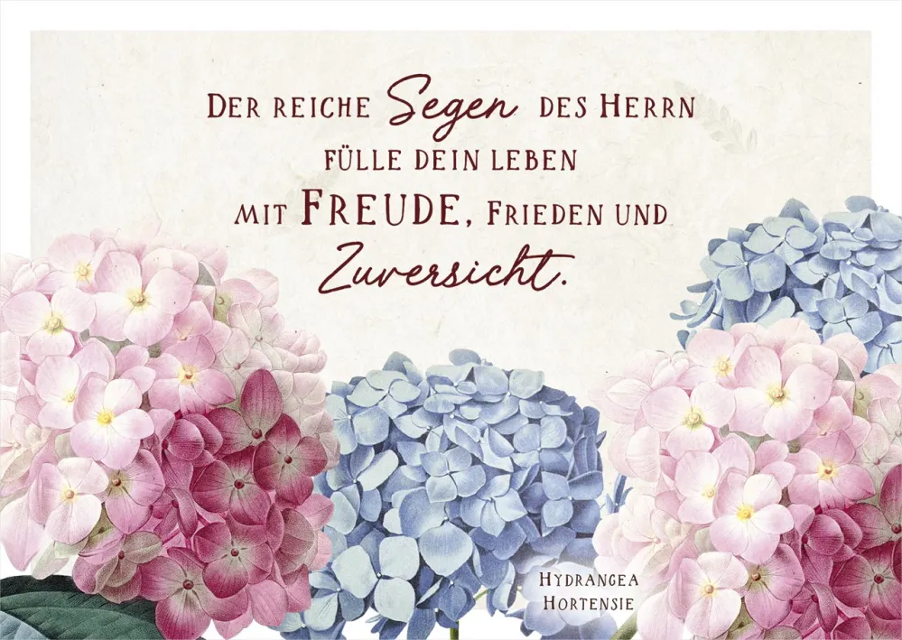 Postkarte Hortensien - Der reiche Segen des Herrn fülle dein Leben mit Freude, Frieden und...