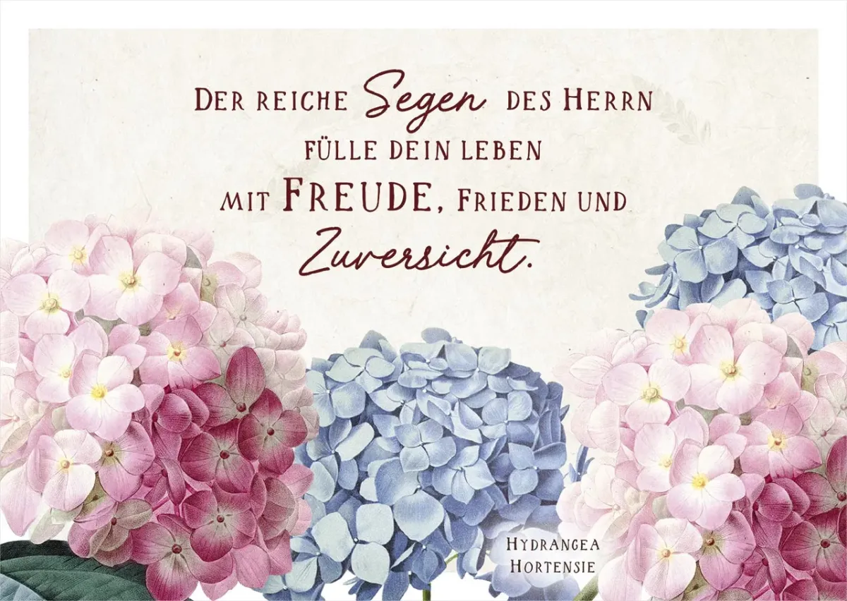 Postkarten Hortensien - Der reiche Segen des Herrn fülle dein Leben mit Freude, Frieden und...
