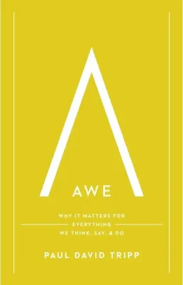 Awe - Why It Matters for Everything We Think, Say, and Do (with Study Questions)
