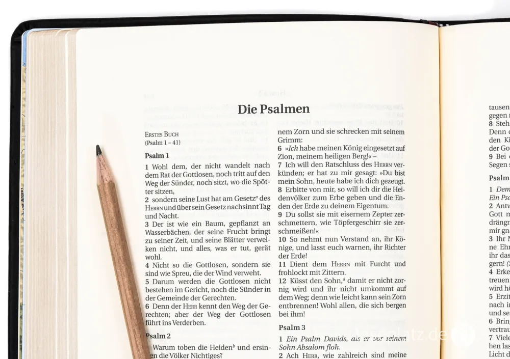 Schlachter 2000 Bibel – Schreibrandausgabe (flexibler Leder-Umschlag, schwarz) -...