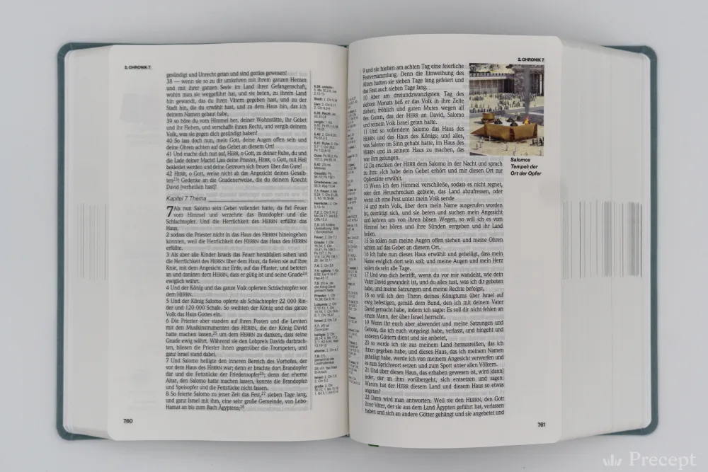 Schlachter 2000, Neue Induktive Studienbibel - 7. Auflage - Precept Ministries Schlachter 2000, Neue Induktive Studienbibel - 7. Auflage - Precept Ministries