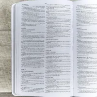 Anglais, Bible KJV, similicuir, blanche, Gift & Award