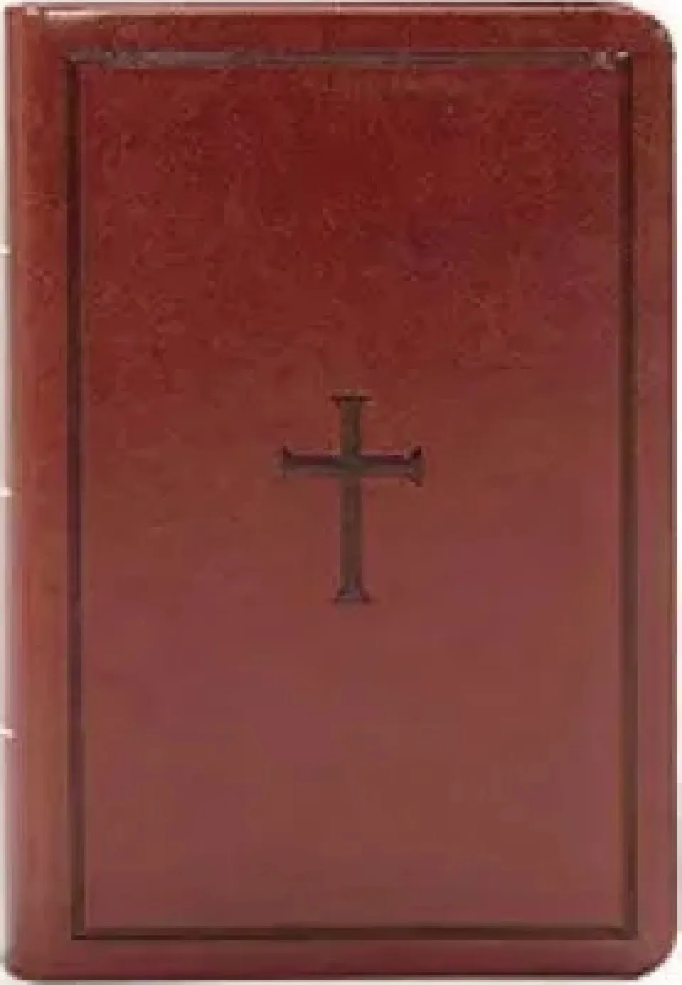 Espagnol,Bible,Nueva version internacional,letra grande, couverture flexible
