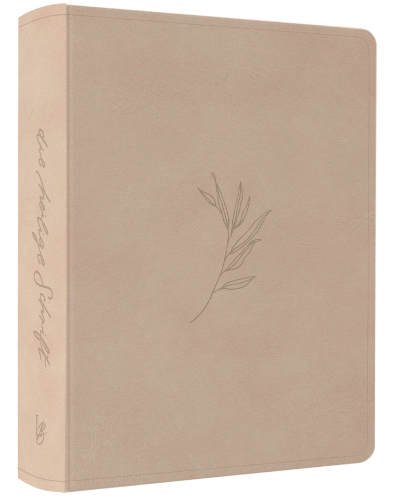 NeÜ bibel.heute Liebezurbibel (Schreibrandbibel OLIVE) - Flexibler Kunstledereinband - Beige mit...