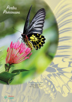 Perles précieuses - calendrier éphéméride, bloc et plaque