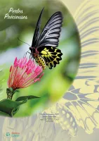 Perles précieuses - calendrier éphéméride, bloc et plaque