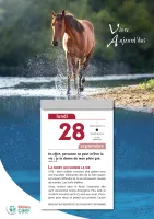Vivre aujourd'hui - calendrier éphéméride, à suspendre et effeuiller, grande plaque