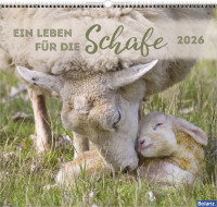 Kalender Ein Leben für die Schafe - Wandkalender