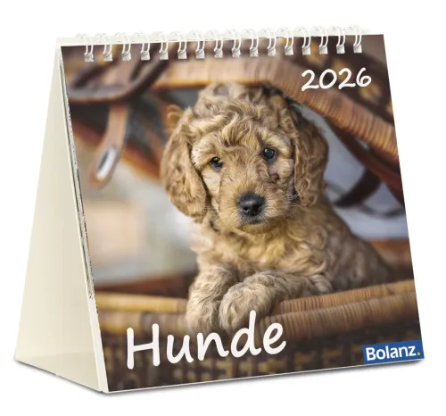 Kalender Hunde - Tischkalender