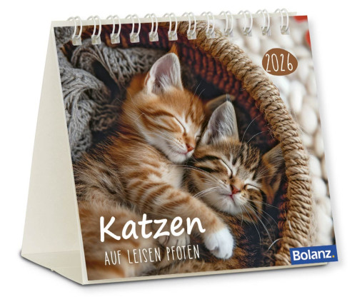 Kalender Katzen - Auf leisen Pfoten - Minikalender