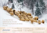 Bon berger (Le) - Calendrier cartes postales, horizontal