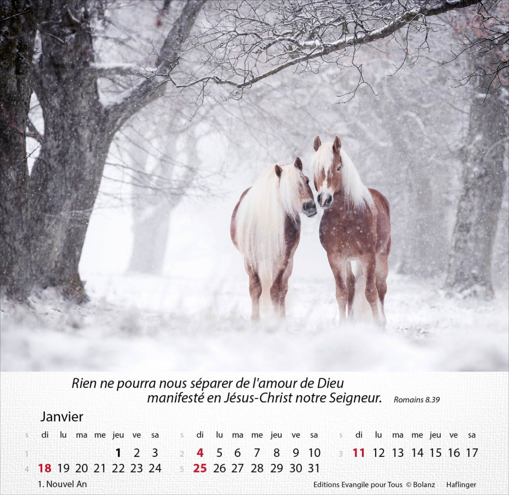 Chevaux, Merveilles de la création - Calendrier de table