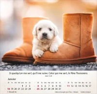 Chiens, Merveilles de la création - Calendrier de table
