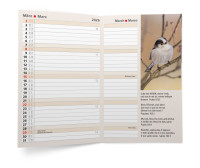 Agenda international - 4 langues