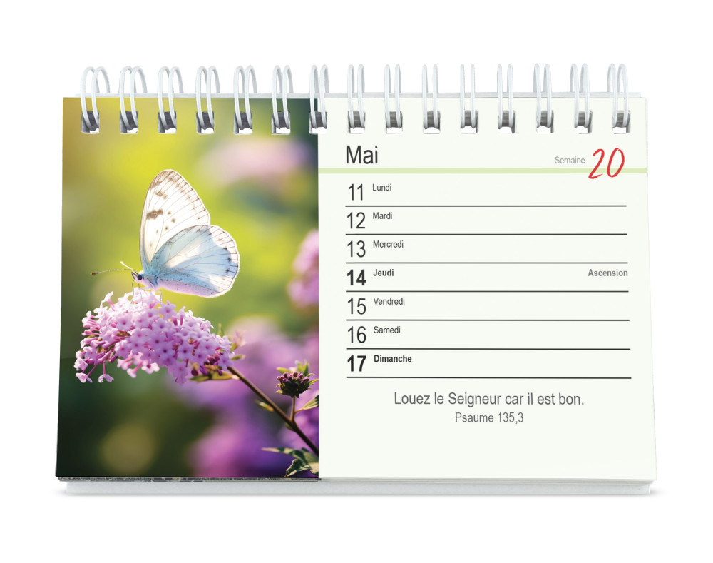 Tu m'accompagnes - calendrier de table