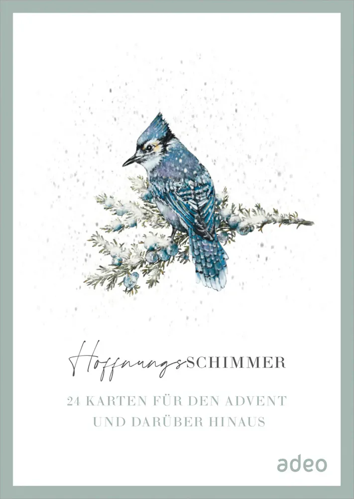 HoffnungsSchimmer (Postkartenbox) - 24 Karten für den Advent und darüber hinaus