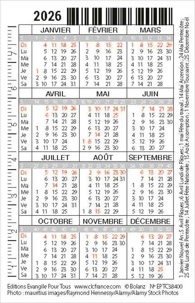 Calendrier format carte de crédit - Motif Oiseau (Galates 5.1)