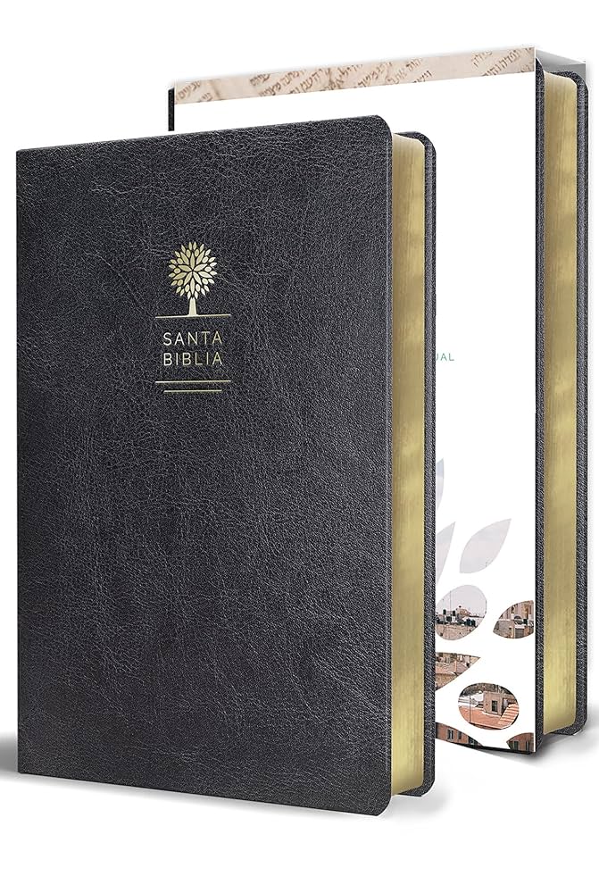 Espagnol, Bible, Reina Valera 1960, gros caractères, similicuir noir