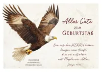 Postkarten Geburtstag Adler - Jesaja 40,31