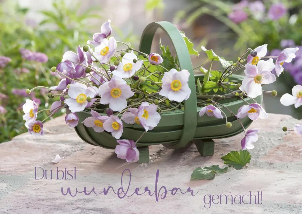 Postkartenbox Wir feiern im Garten - 12 verschiedene Postkarten in einer Box mit Magnetverschluss