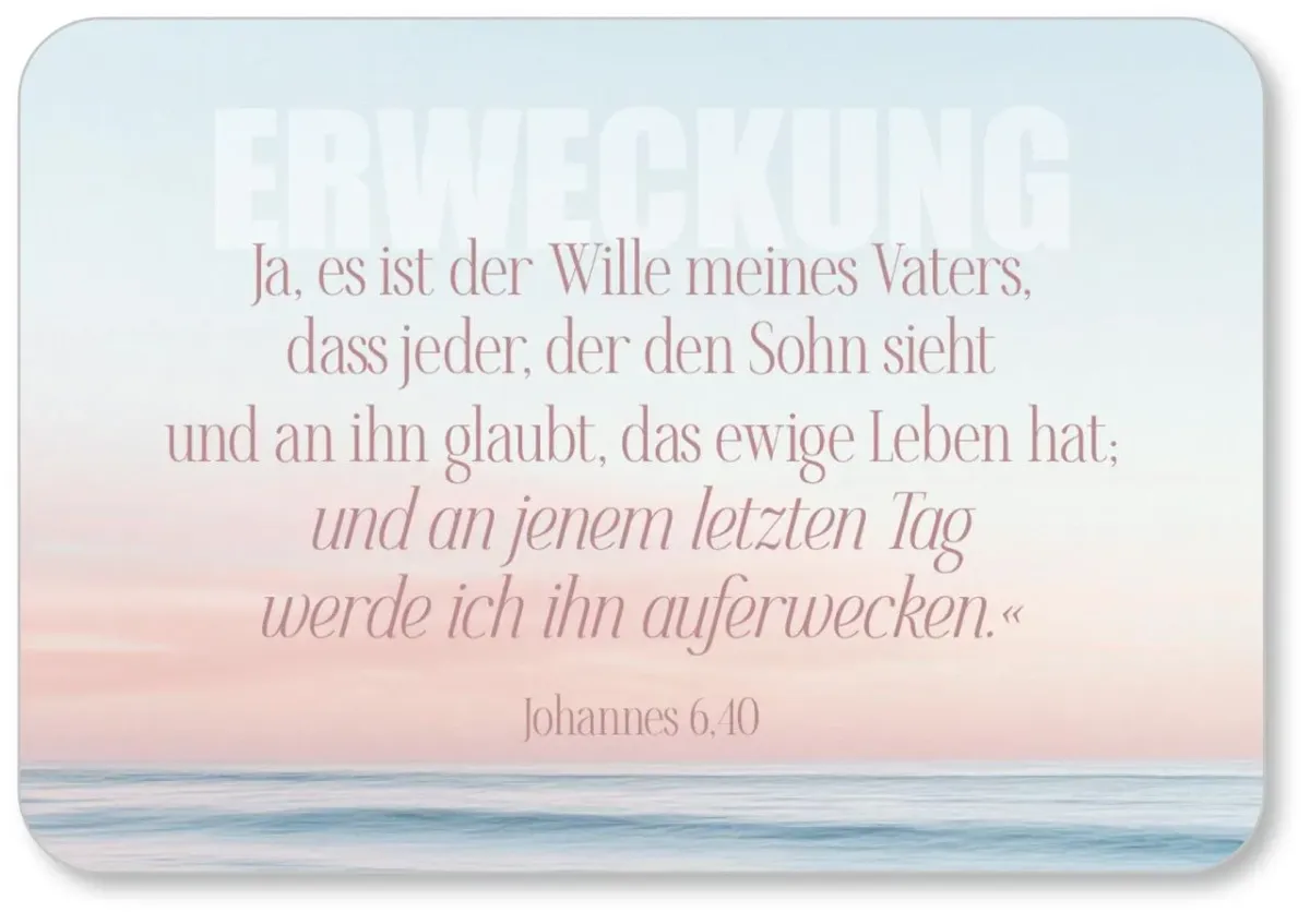 Minikarten-Box „Viel Zuversicht" - 30 Bibelverskärtchen Trost und Zuversicht mit Edlem...