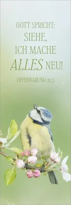 Lesezeichen Riedel Jahreslosung 2027 - Jesaja 41.10  (10 Karten pro Packung)