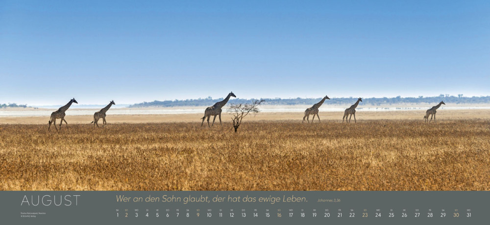 Ewigkeit im Herzen - Riesenpanoramakalender