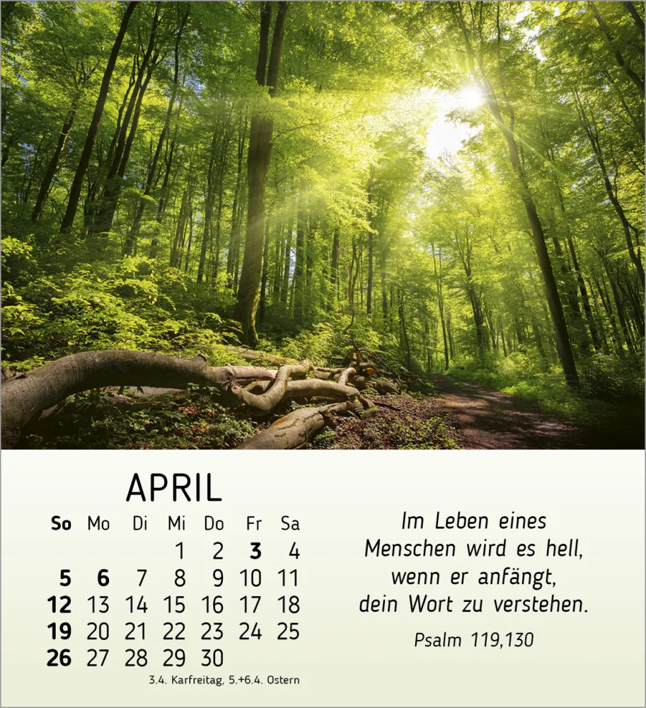 Schönheit des Lichts - Tischkalender