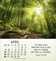 Schönheit des Lichts - Tischkalender