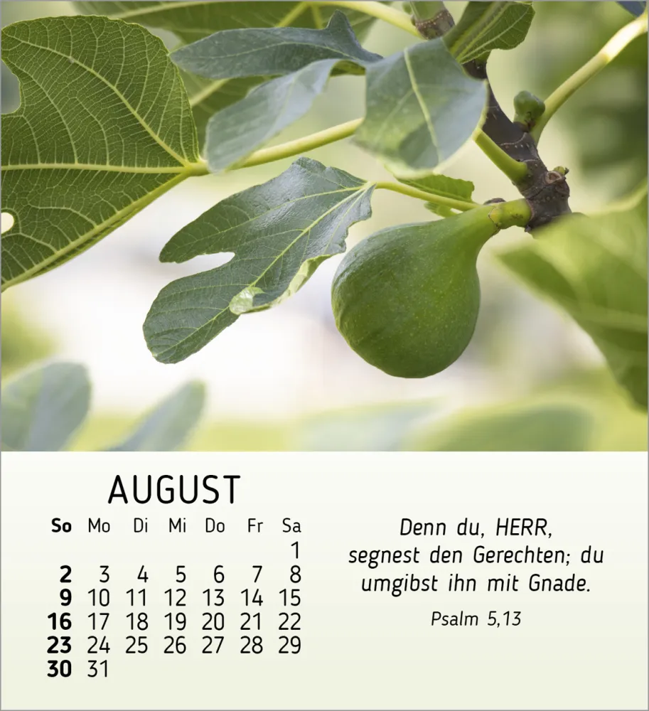 Stille Begegnungen - Tischkalender