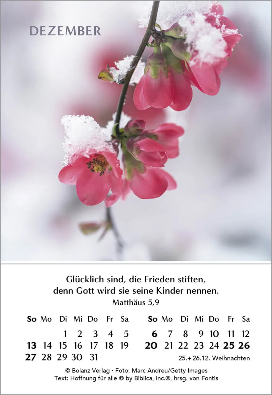 Ein Jahr der Freude - Mini-Aufstellkalender