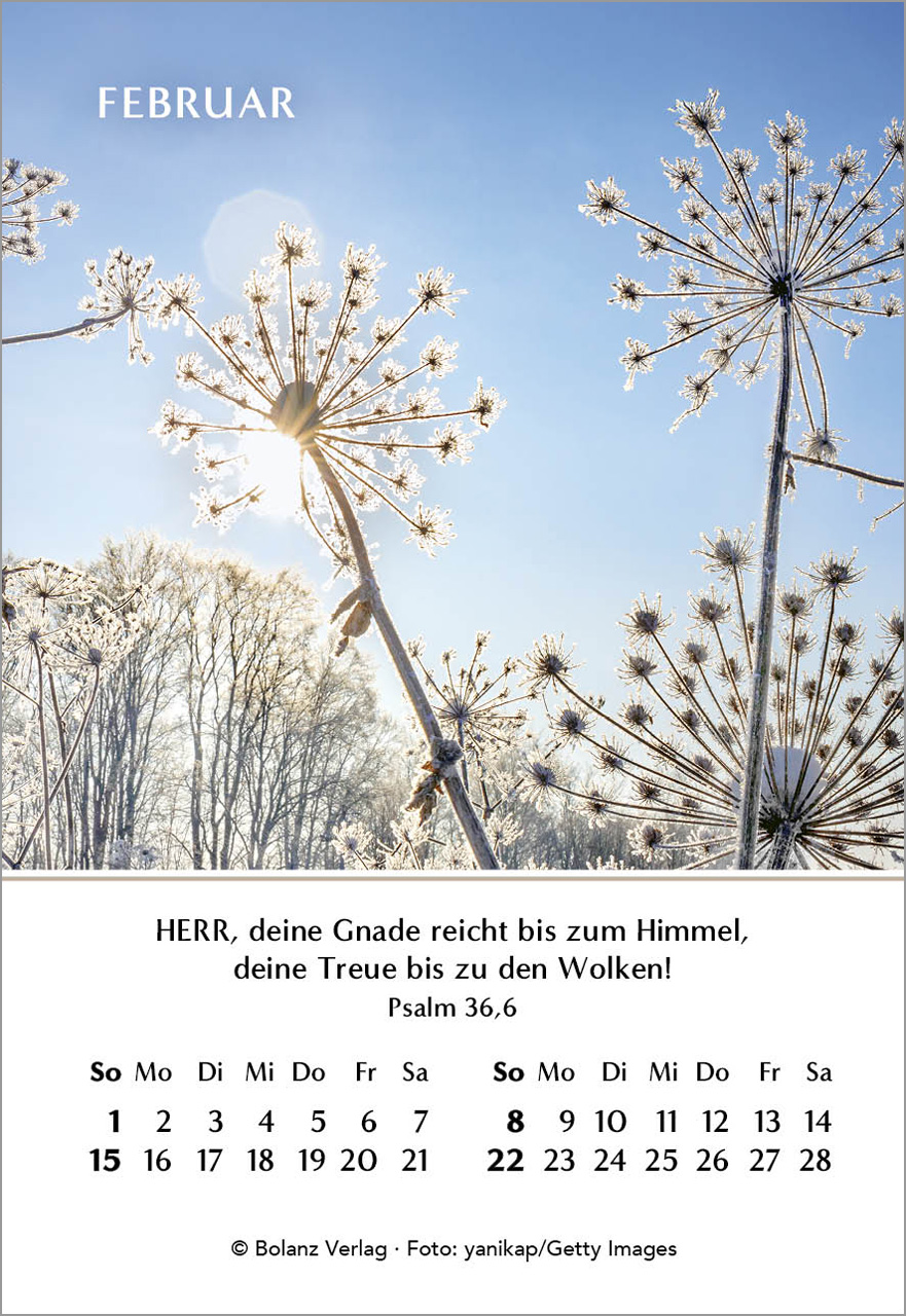 Ein Jahr der Hoffnung - Mini-Aufstellkalender