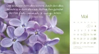 Augenblicke der Anbetung - Postkartenkalender mit Blumenfotos