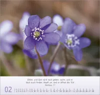 Gesichter der Natur - Wandkalender