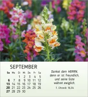 Ich wünsch dir Freude - Tischkalender