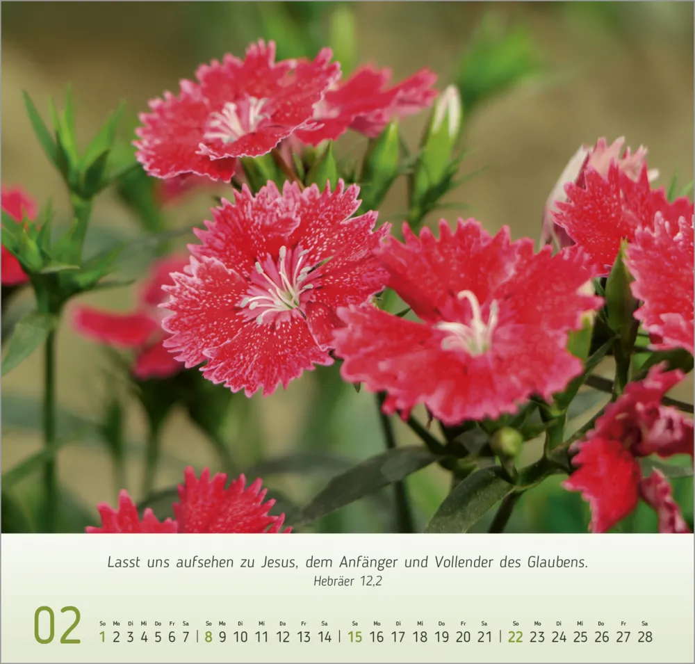 Blumen Impressionen - Wandkalender