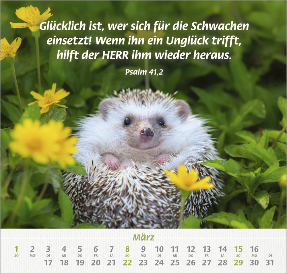 Ich hab dich gern - Wandkalender