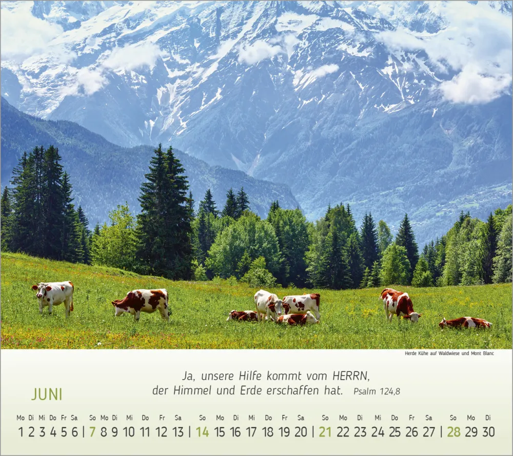 Wunderbare Bergwelt - Tischkalender