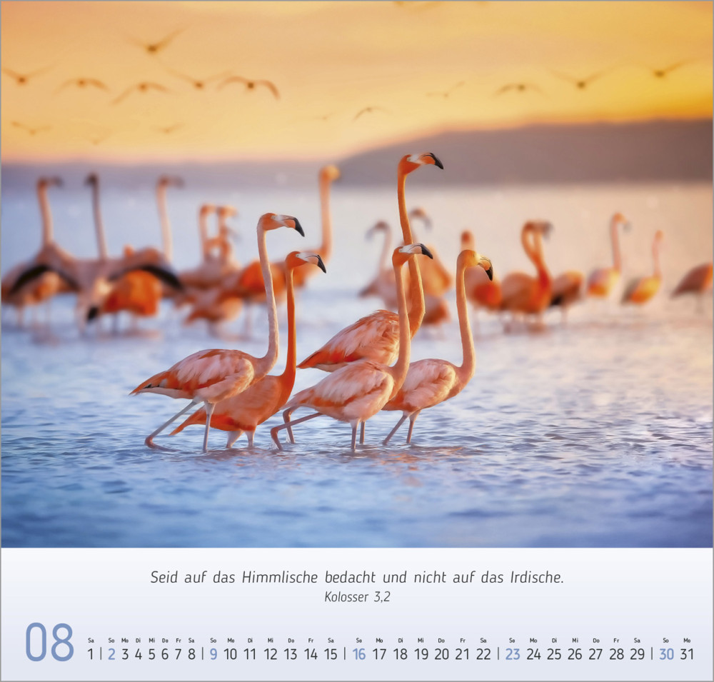 Licht Impressionen - Wandkalender