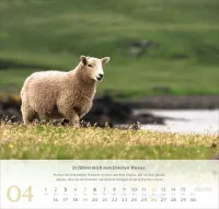 Psalm 23 - Der Herr ist mein Hirte - Wandkalender