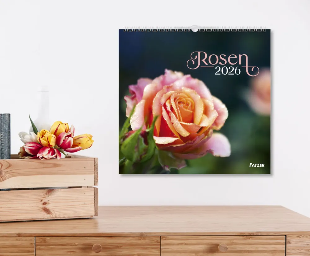 Rosen - Wandkalender