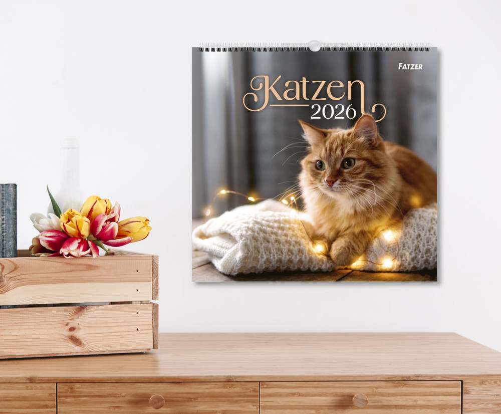 Katzen - Wandkalender