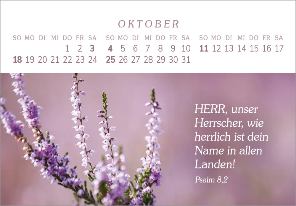 Das Geschenk der Freude - Panorama-Tischkalender