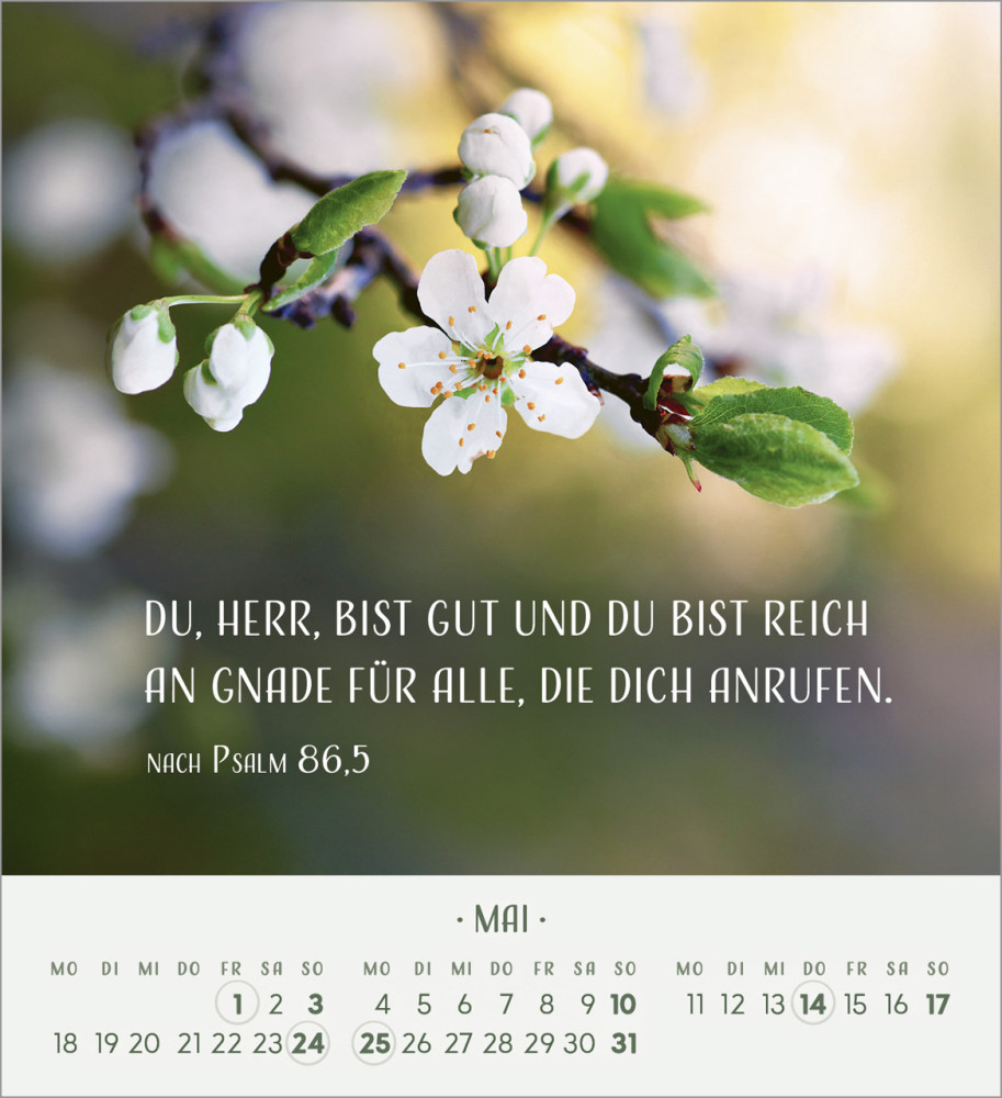 Zarte Blumengrüsse - Tischkalender