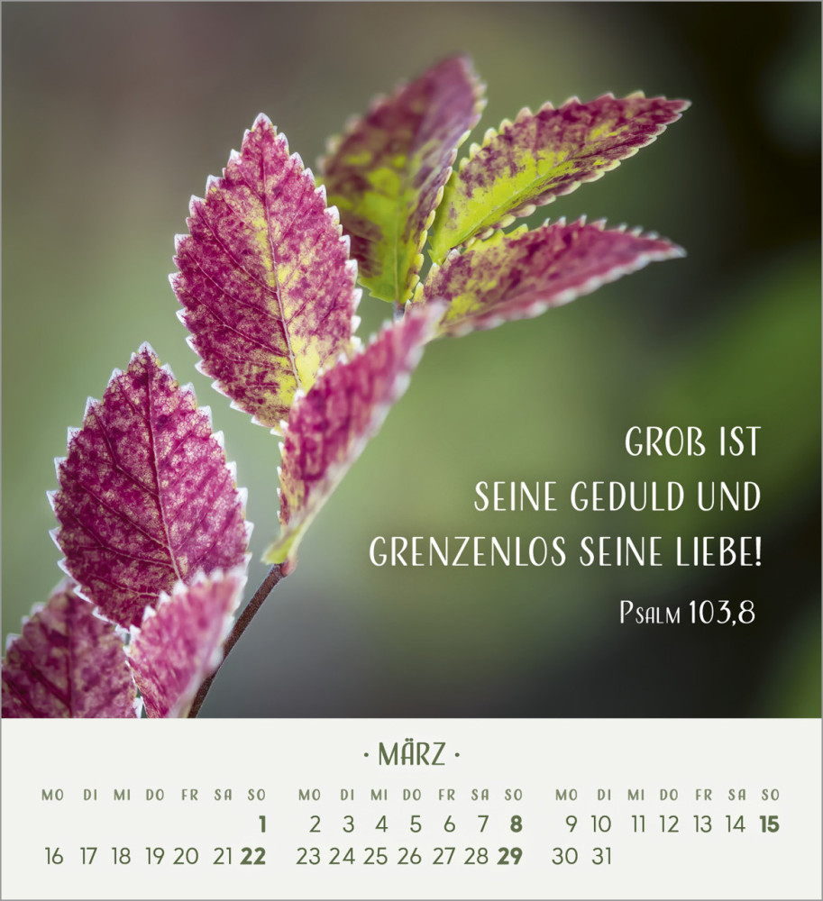 Zarte Blumengrüsse - Tischkalender
