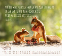 Du sorgst für mich - Tischkalender Postkartenformat