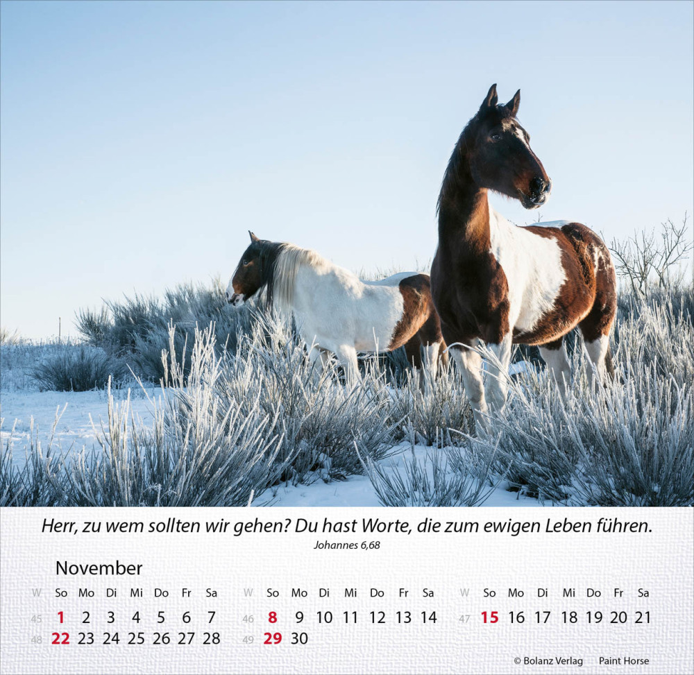 Kalender Pferde - Tischkalender