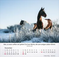 Kalender Pferde - Tischkalender