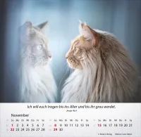 Kalender Katzen - Tischkalender