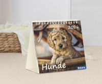 Kalender Hunde - Tischkalender